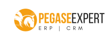 PEGASE EXPERT 