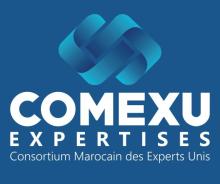 COMEXU  EXPERTISES